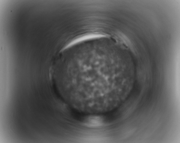 X0000088630169200706011151