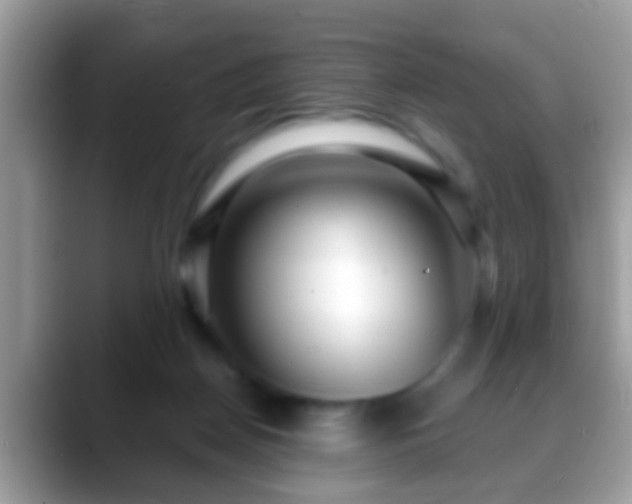 X0000088630170200706011151