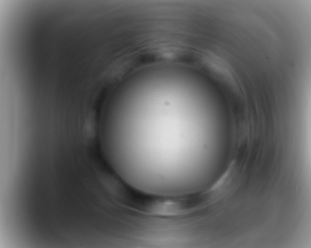 X0000088630174200706011151