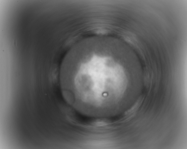 X0000088630175200706011151