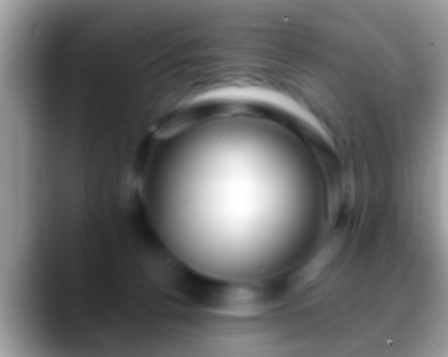 X0000088630176200706011151