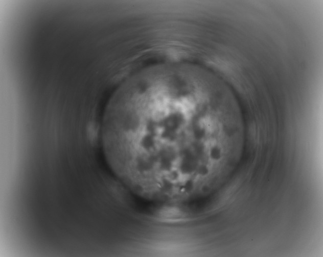 X0000088630177200706011151