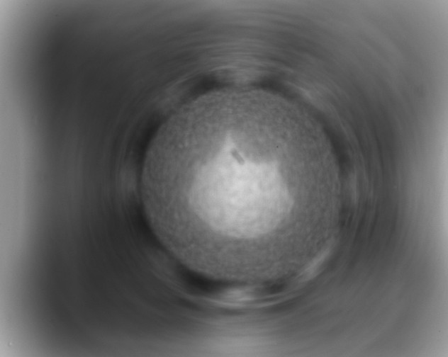 X0000088630178200706011151