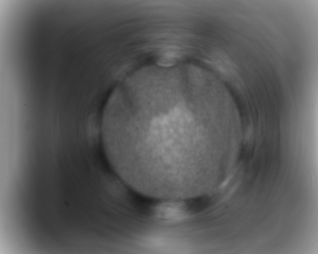 X0000088630179200706011151