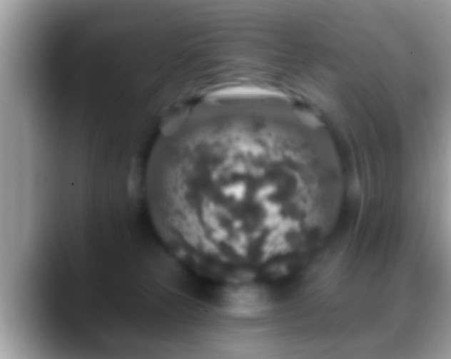 X0000088630181200706011151