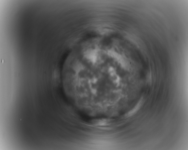 X0000088630182200706011151