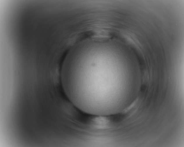 X0000088630183200706011151