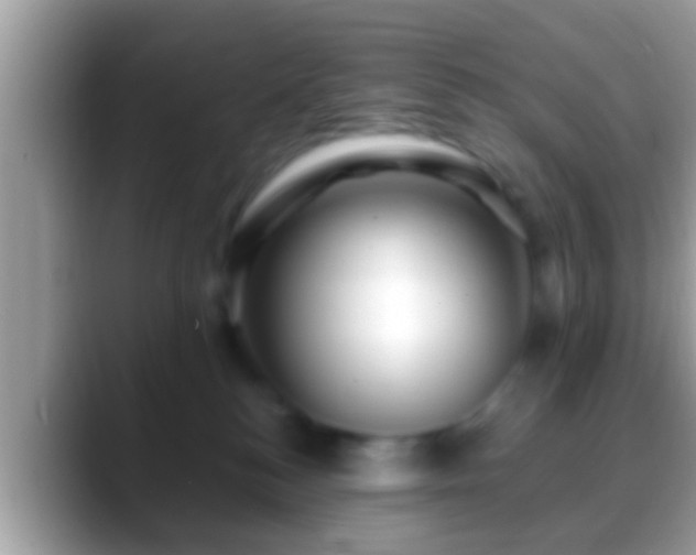 X0000088630184200706011151