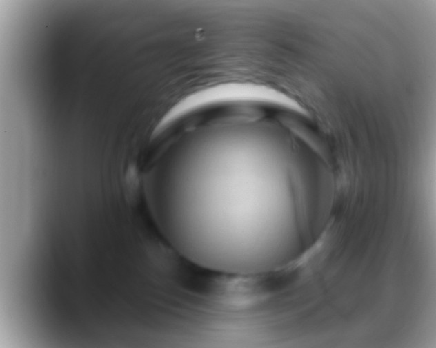 X0000088630186200706011151