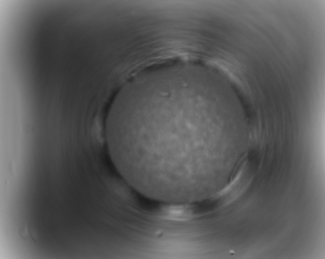 X0000088630187200706011151