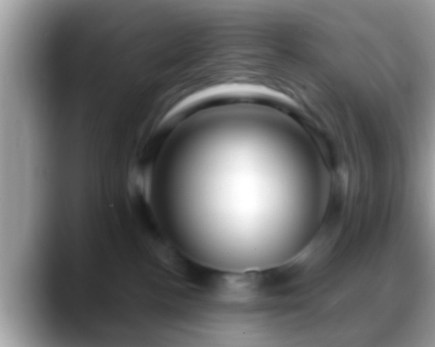 X0000088630188200706011151