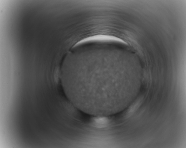 X0000088630189200706011151