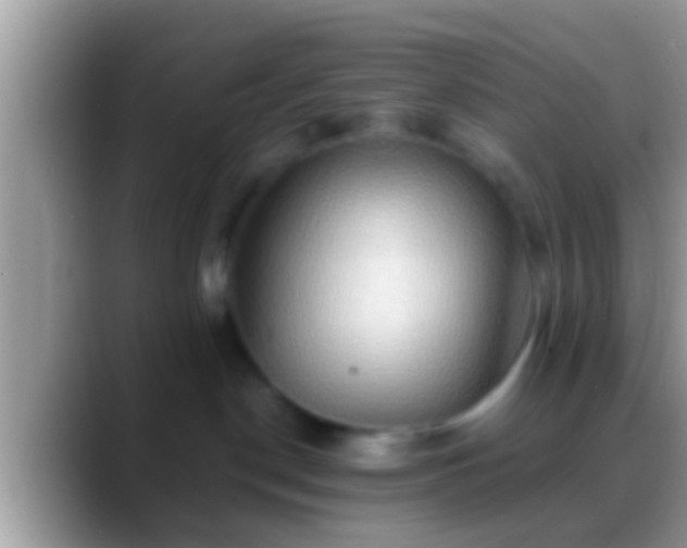 X0000088630190200706011151