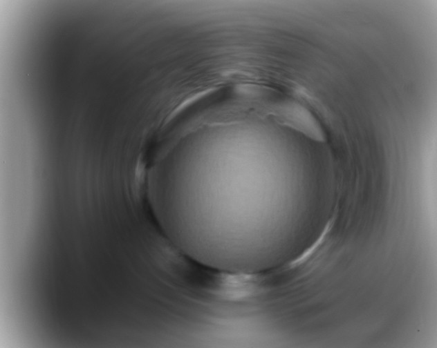 X0000088630192200706011151