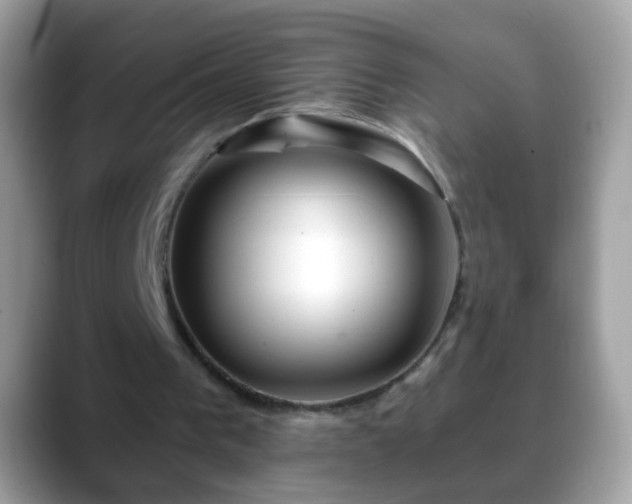 X0000088630193200706011151