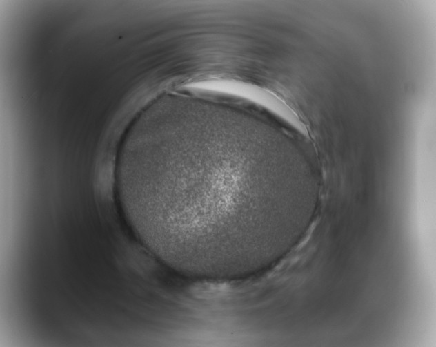 X0000088630194200706011151