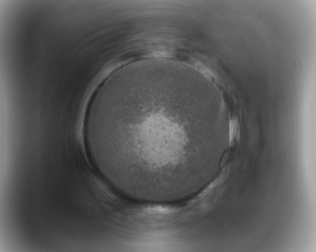 X0000088630195200706011150