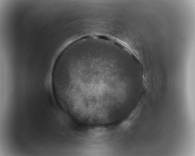 X0000088630196200706011150