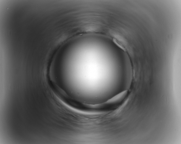 X0000088630201200706011150