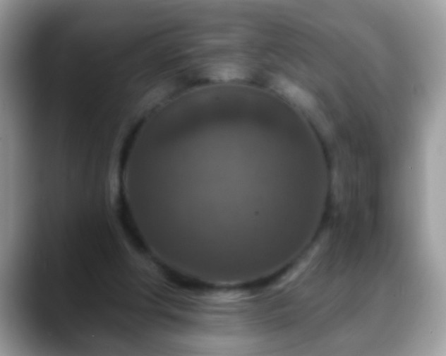 X0000088630202200706011150