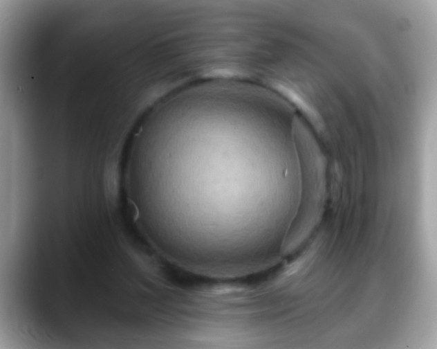 X0000088630204200706011150