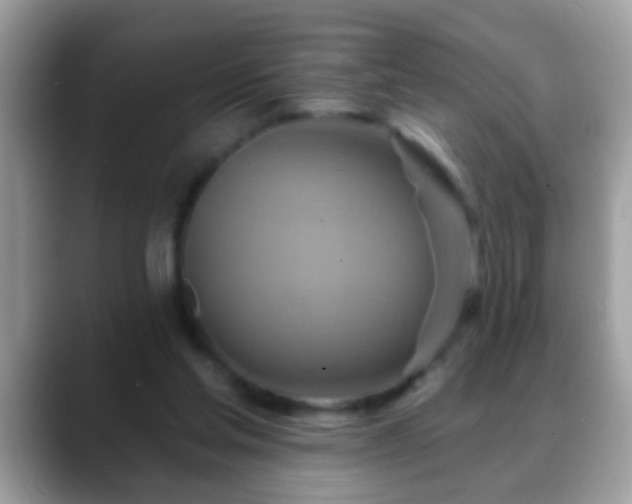 X0000088630205200706011150