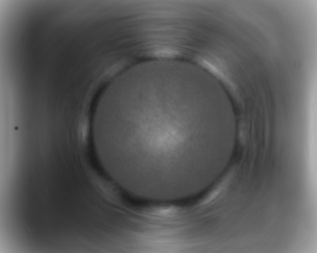 X0000088630206200706011150