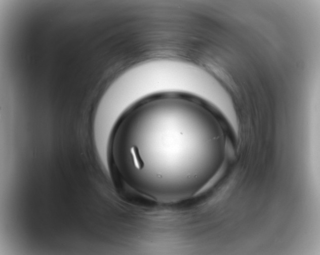 X0000088630207200706011150