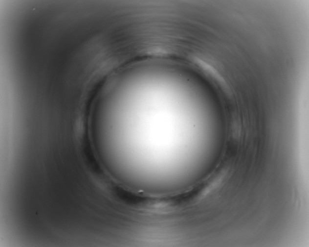 X0000088630208200706011150