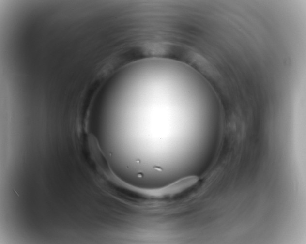 X0000088630209200706011150