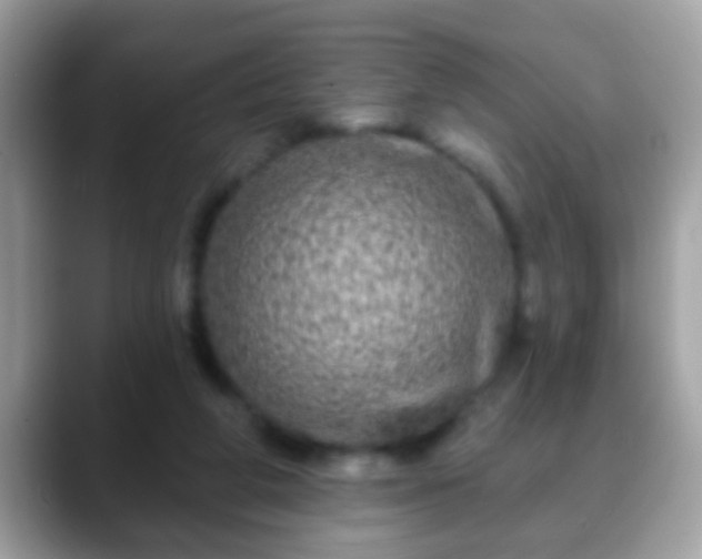 X0000088630210200706011150