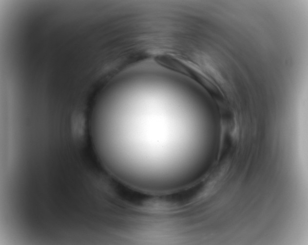 X0000088630211200706011150