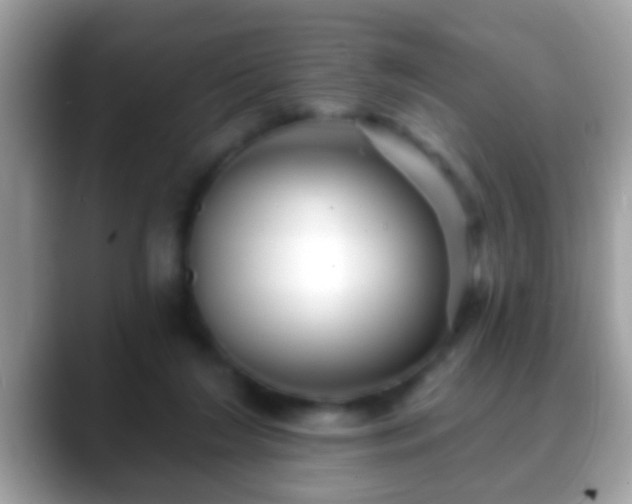 X0000088630212200706011150