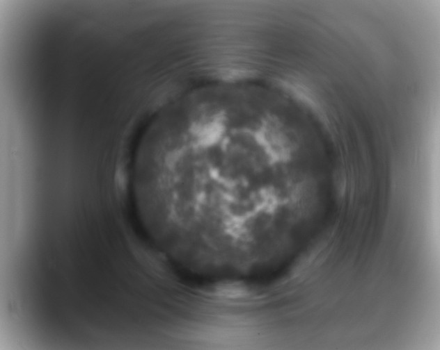 X0000088630214200706011150