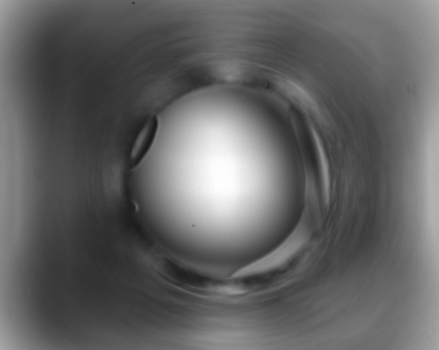 X0000088630217200706011150