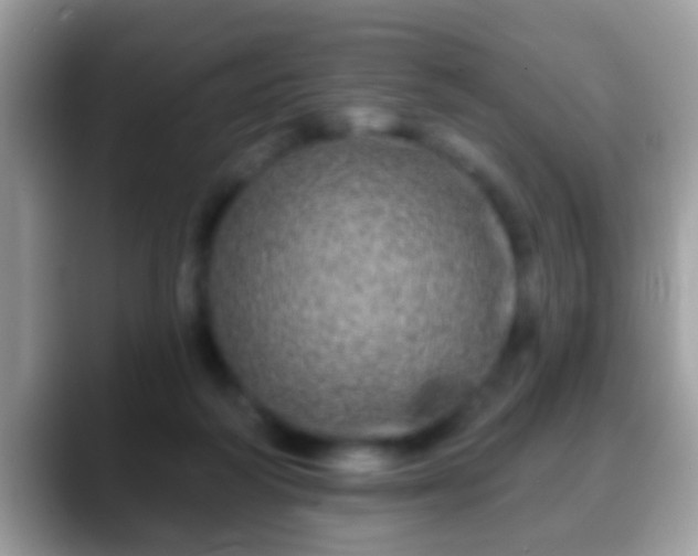 X0000088630218200706011150