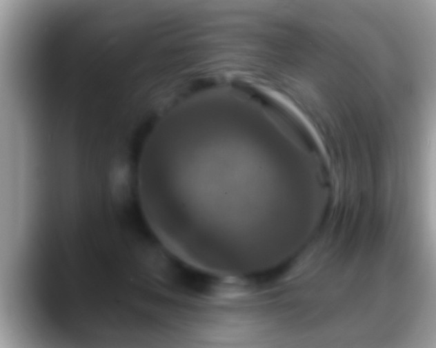 X0000088630222200706011150