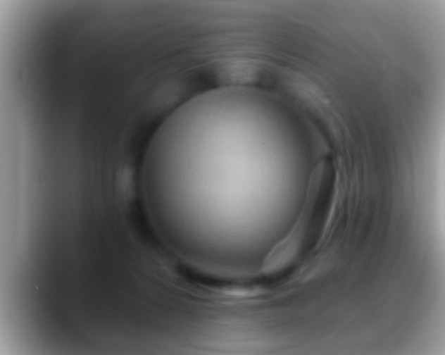 X0000088630224200706011150