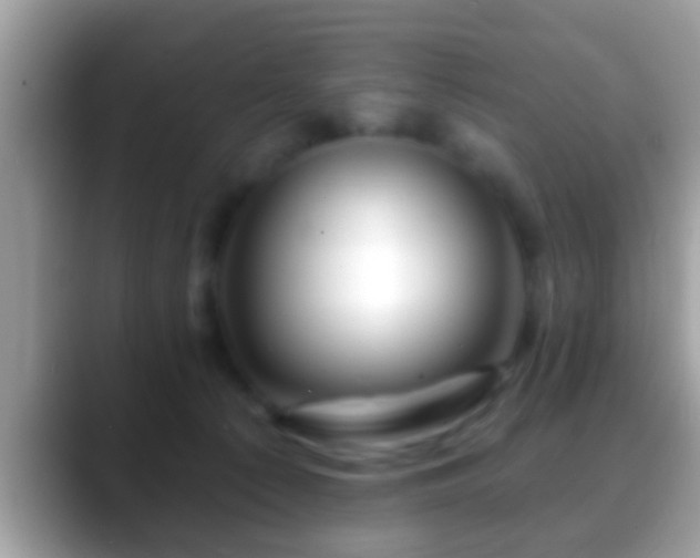 X0000088630225200706011150