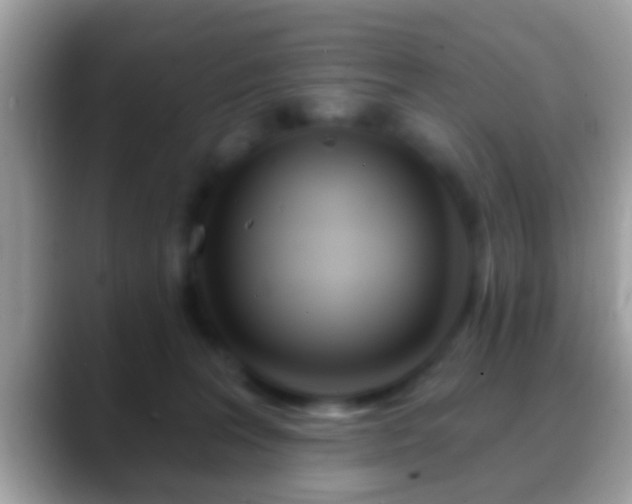 X0000088630227200706011150