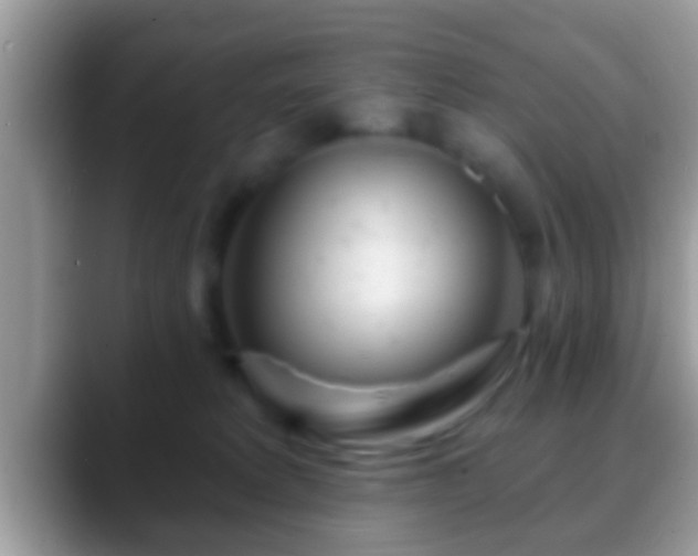 X0000088630229200706011150