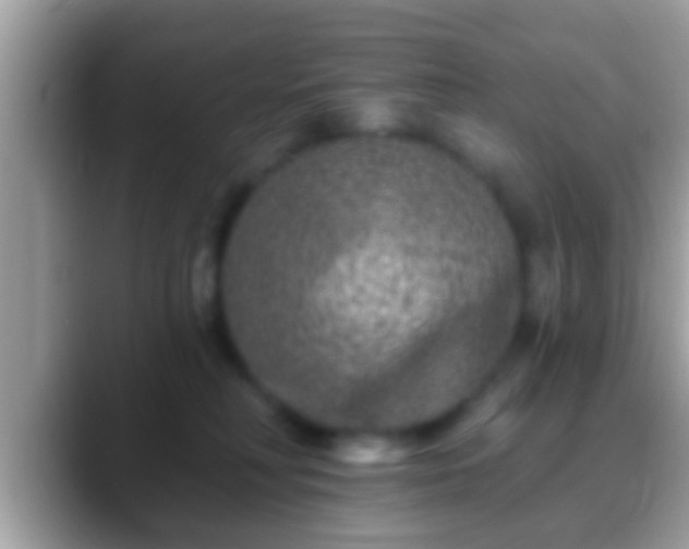 X0000088630230200706011150