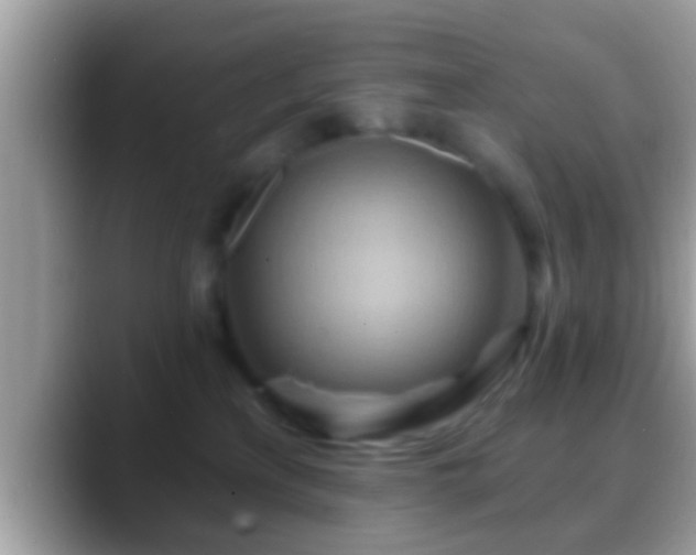 X0000088630233200706011150