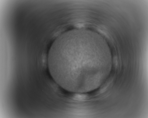 X0000088630234200706011150