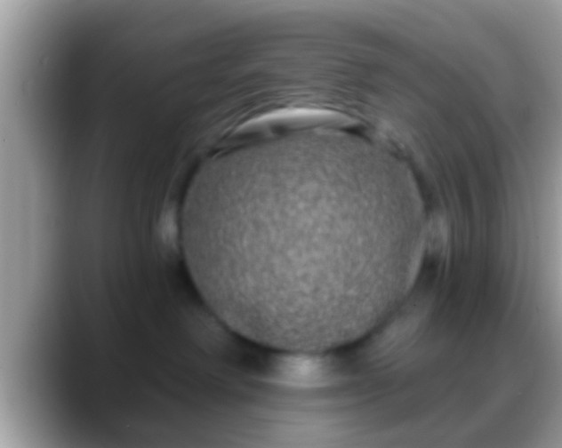 X0000088630238200706011150