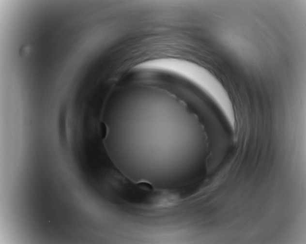 X0000088630239200706011150