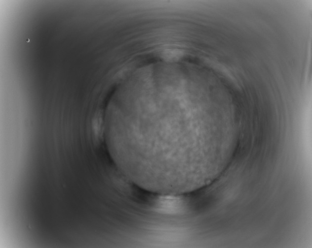 X0000088630240200706011150