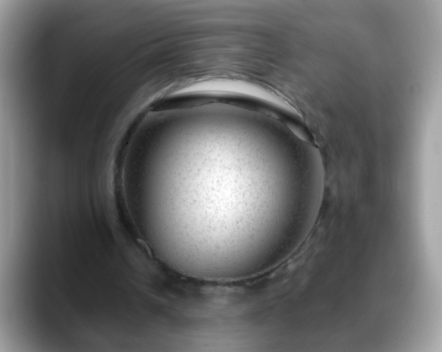 X0000088630242200706011149