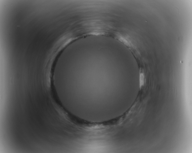 X0000088630243200706011149