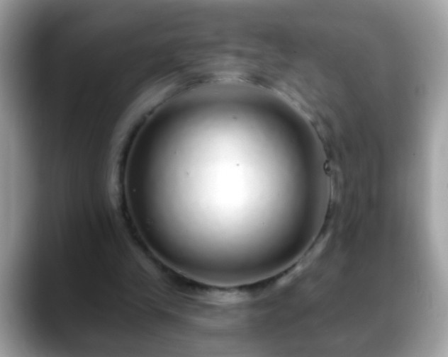 X0000088630245200706011149